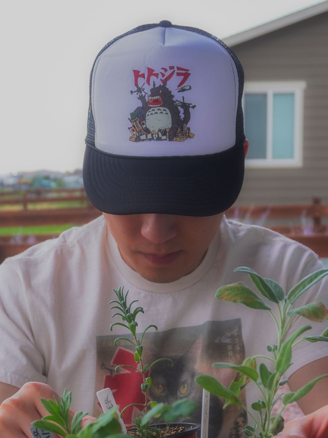 Totozilla Mesh Hat